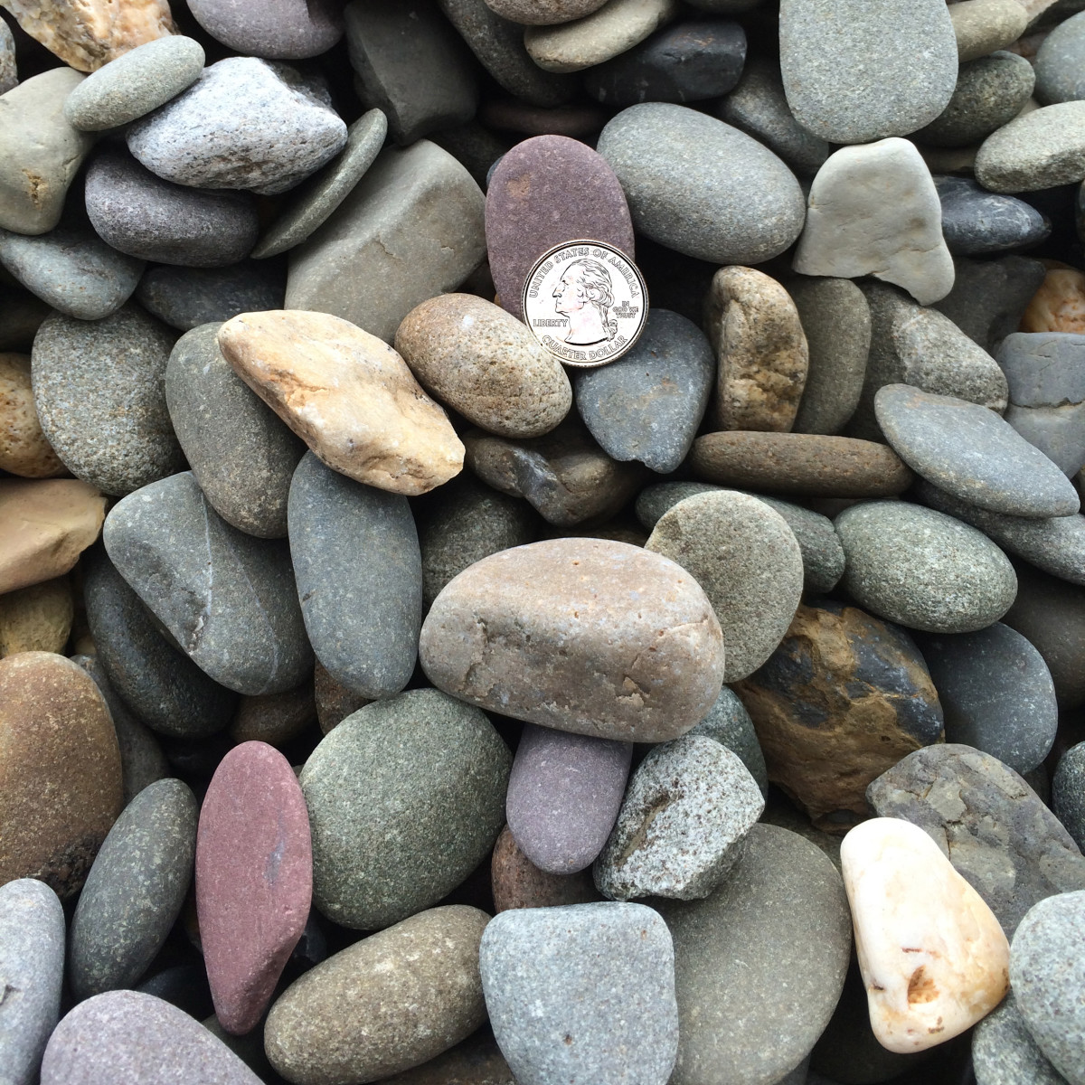 1 - 3 Delaware River Stone - sold per ton — Timothy's Center for Gardening