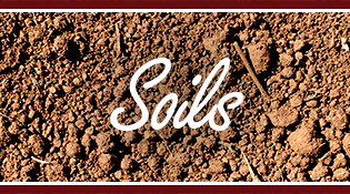 Duke Transport Soils